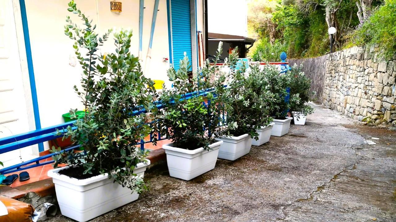 La Casa Di Aurelio Appartement Capo dʼOrlando Buitenkant foto